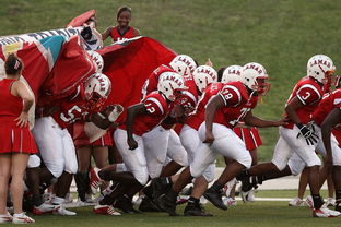 开云·体育官网-搏击台上竞技水平持续提高，搏击台上竞技水平持续提高怎么办  第2张
